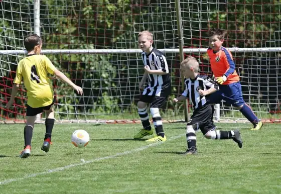 mladší přípravka - 16.kolo